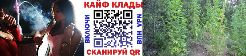 Где продают наркотики Дыгулыбгей Галлюциногенные грибы  мега ONION  Бошки Шишки  Cocaine  Меф мяу мяу 