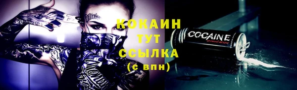 соль ск Липки