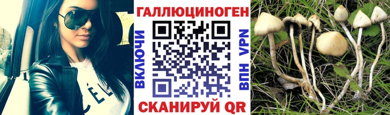 Псилоцибиновые грибы прущие грибы  купить  сайты  Дыгулыбгей 